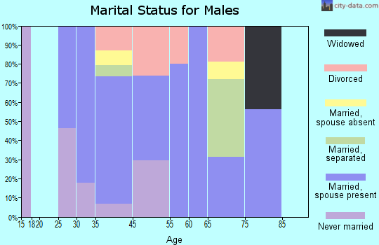 City View marital status for males