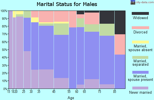 Dillon marital status for males