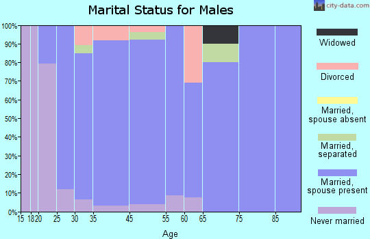 Elgin marital status for males