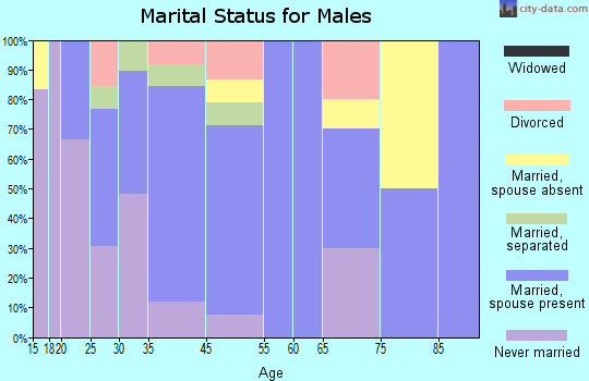 Fort Lawn marital status for males