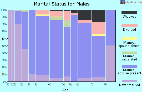 Fort Mill marital status for males