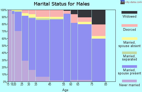 Goose Creek marital status for males