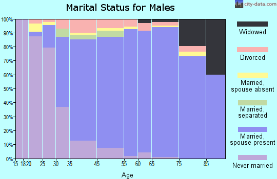 Isle of Palms marital status for males