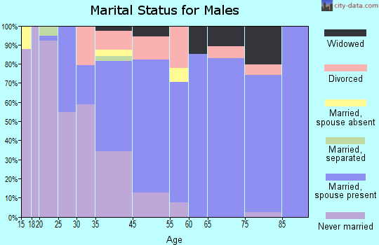 Johnston marital status for males