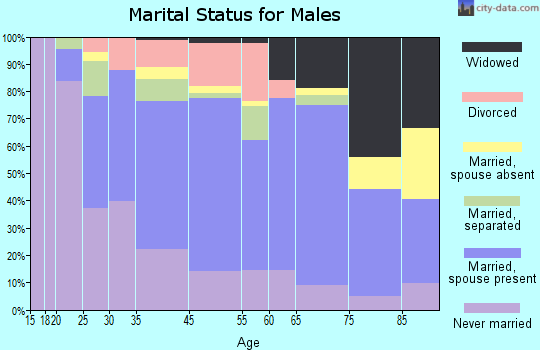Laurens marital status for males