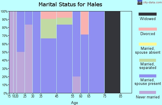 Little Mountain marital status for males