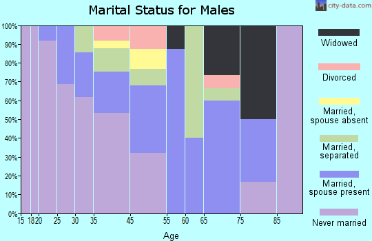 Mayesville marital status for males