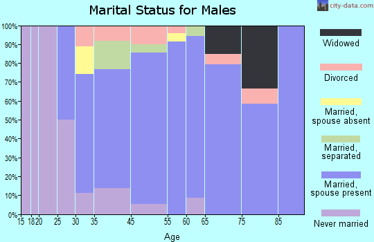 Meggett marital status for males