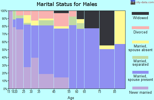 Moncks Corner marital status for males