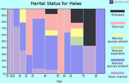 Neeses marital status for males