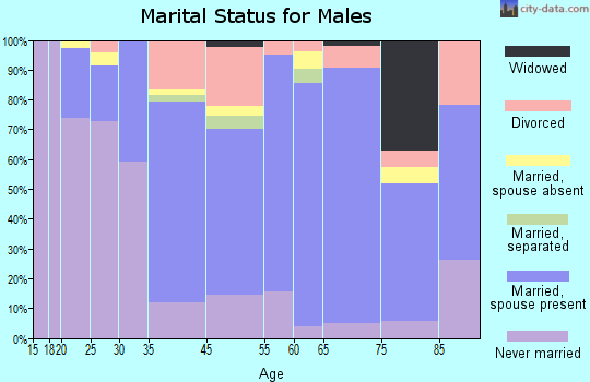 Idyllwild-Pine Cove marital status for males