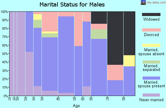 Ninety Six marital status for males