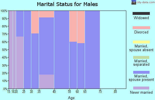 Riverview marital status for males