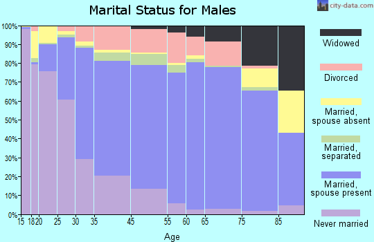 Rock Hill marital status for males