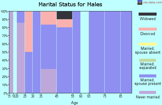 Silverstreet marital status for males