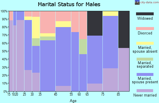 Slater-Marietta marital status for males