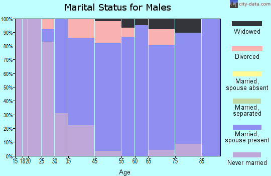 Springdale marital status for males