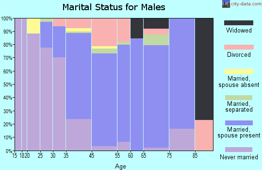Sullivan's Island marital status for males