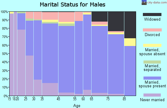 Summerville marital status for males