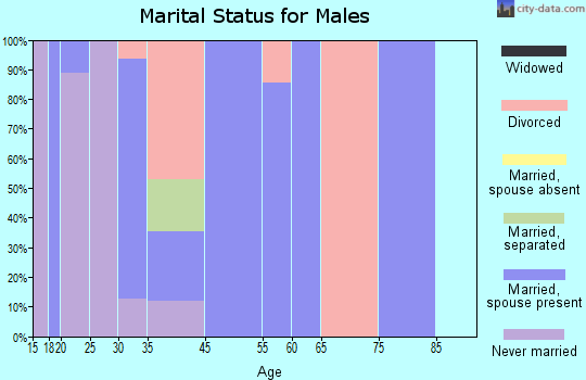 Summit marital status for males