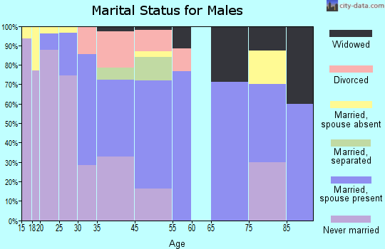 Timmonsville marital status for males