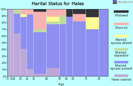 Travelers Rest marital status for males