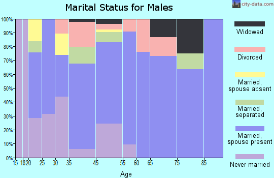 Ware Shoals marital status for males