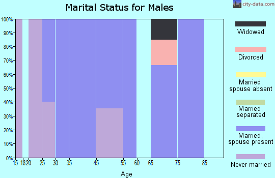 Iron Horse marital status for males