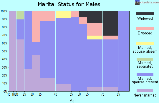 Alcester marital status for males