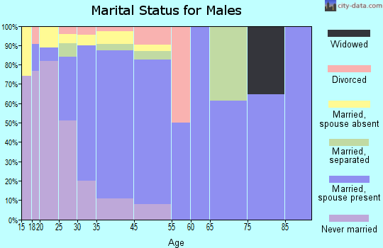 Ivanhoe marital status for males