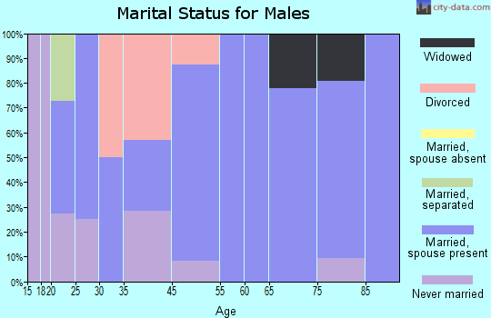 Bonesteel marital status for males