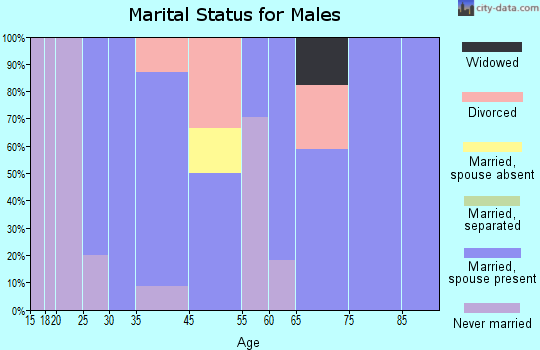 Bristol marital status for males