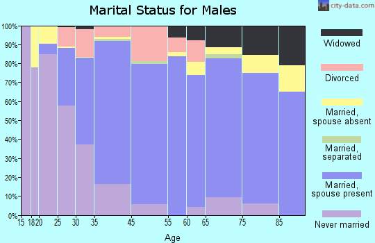 Brookings marital status for males
