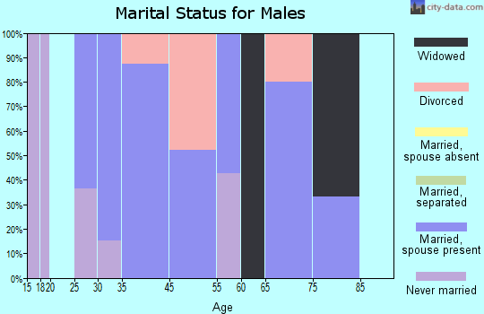 Bruce marital status for males