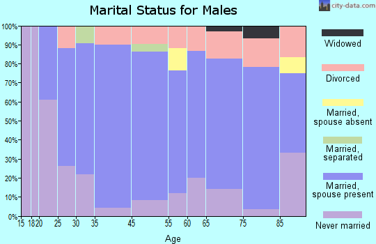 Clear Lake marital status for males