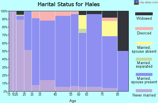 Dell Rapids marital status for males