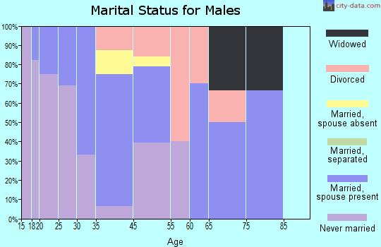Eagle Butte marital status for males