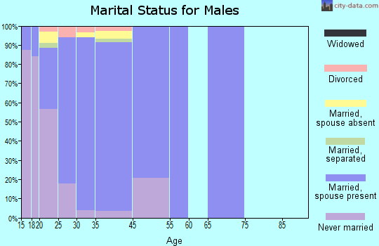 Ellsworth AFB marital status for males