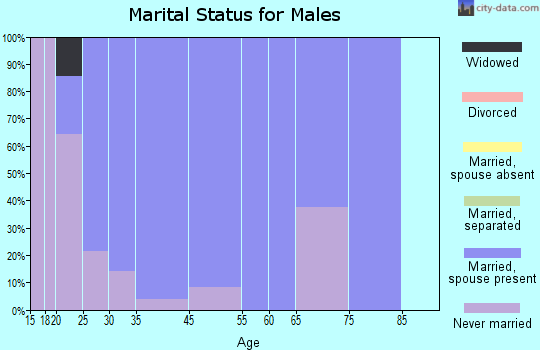 Ethan marital status for males