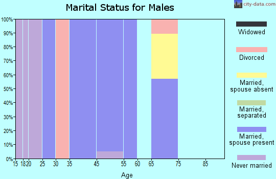 Keene marital status for males