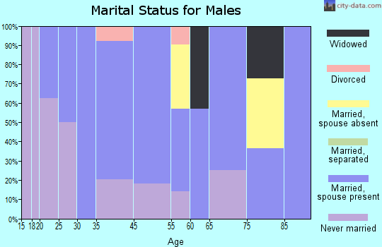 Hudson marital status for males