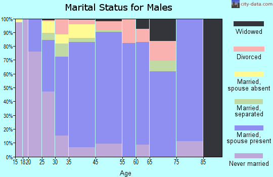 Kerman marital status for males