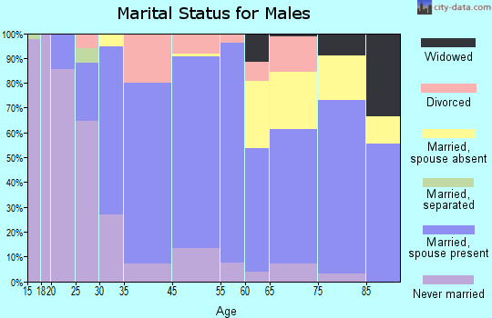 Lemmon marital status for males