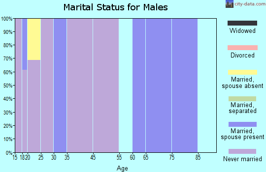 Manderson-White Horse Creek marital status for males