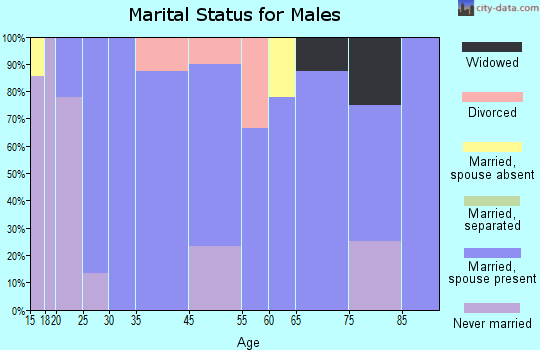 Mount Vernon marital status for males