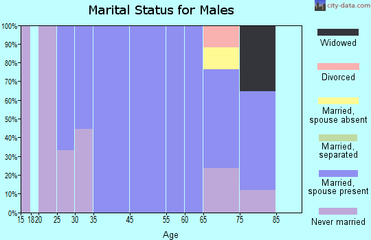 New Effington marital status for males