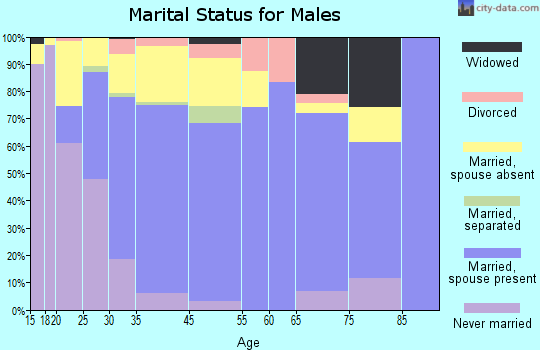 King City marital status for males