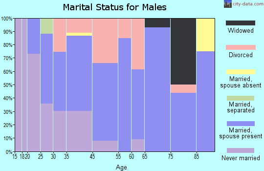 North Sioux City marital status for males