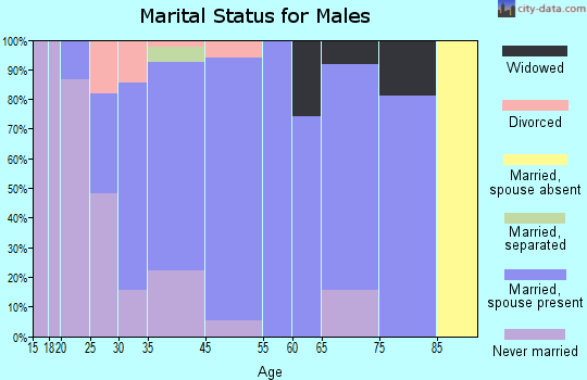 North Spearfish marital status for males