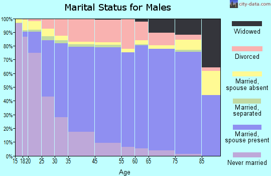 Rapid City marital status for males